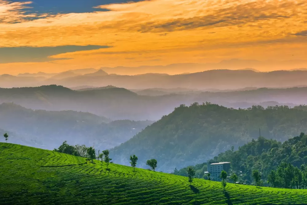 BLOSS hOME - dcssscccccccccLorem Ipsum is simply dummy text of the printing and typesetting industry. Lorem Ipsum has been the industry's standard dummy text ever since the 1500s, when an unknown printer took a galley of type and scrambled it to make a type specimen book. I r